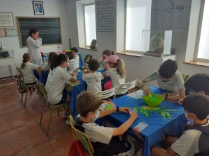 Colegio Diocesano La Presentación