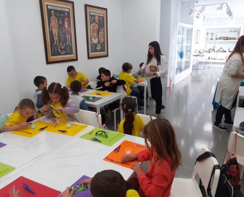 CEIP El Sexmo