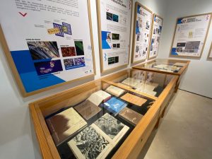 Esposición Luz y Microscopía