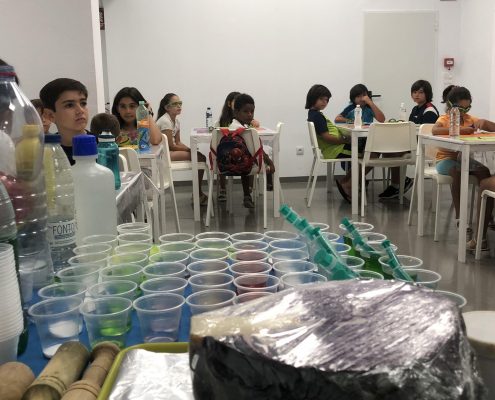 Talleres gratuitos de ciencia y medio ambiente MAE