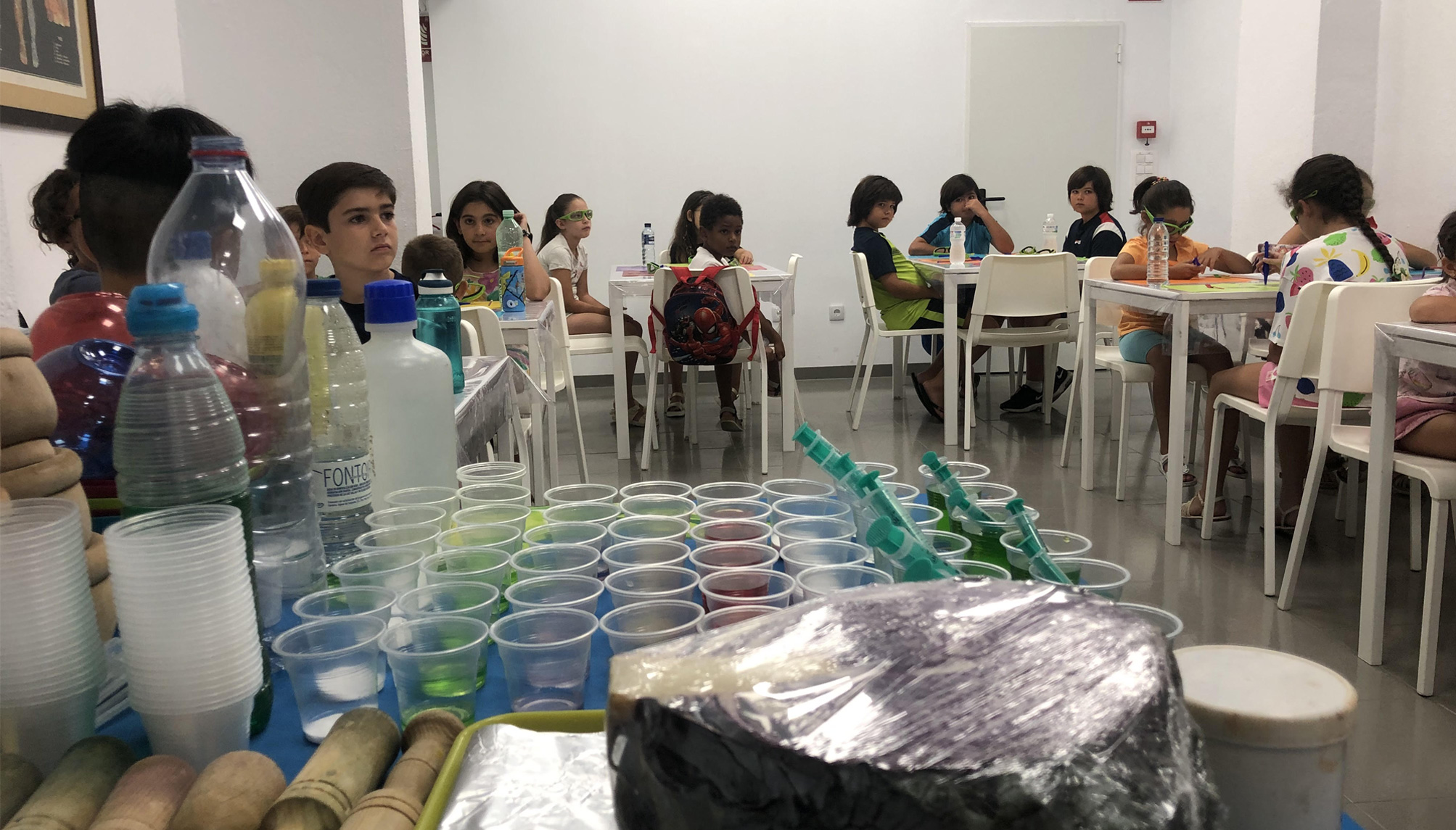 Talleres gratuitos de ciencia y medio ambiente MAE