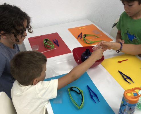 Talleres gratuitos de ciencia y medio ambiente