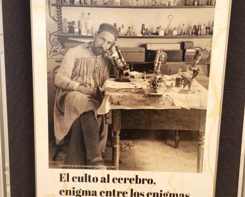 Expo Santiago Ramón y Cajal en la UMA