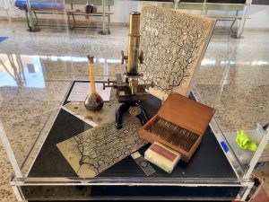 Expo Santiago Ramón y Cajal en la UMA