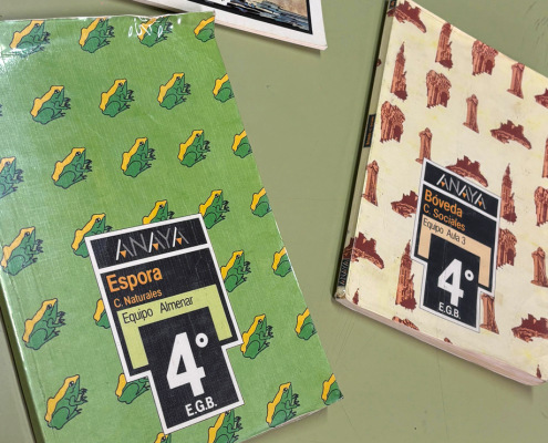 Donación desde Sevilla: Libros con memoria escolar de EGB y BUP