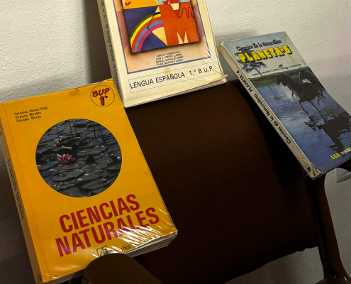 Donación desde Sevilla: Libros con memoria escolar de EGB y BUP