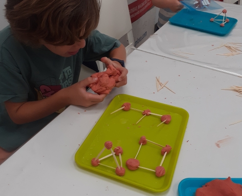 Campamento de verano - día 01