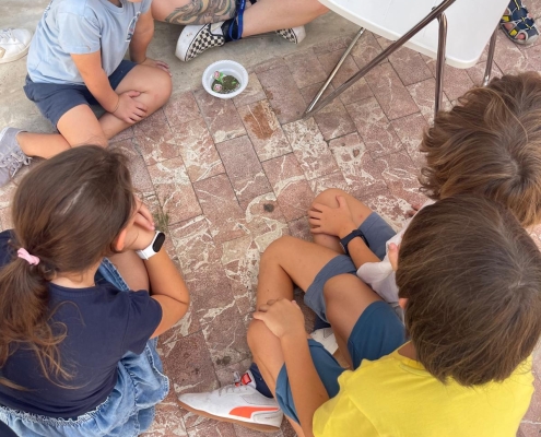 campamento-verano-semana-2-02