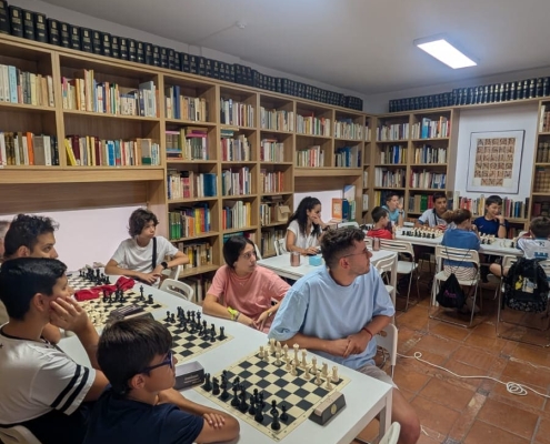 curso-ajedez-de-verano-mae-06