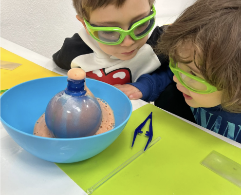 taller 6
